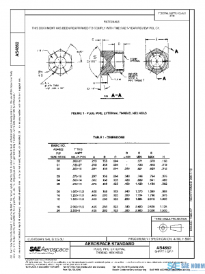 SAE AS4862 PDF