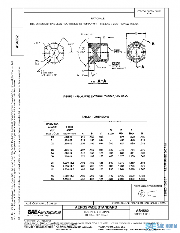SAE AS4862 PDF