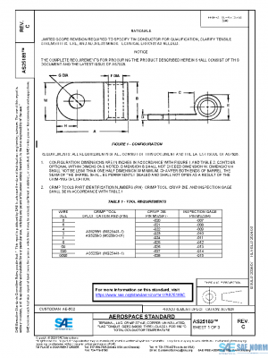 SAE AS25189C PDF SAE AS25189C PDF