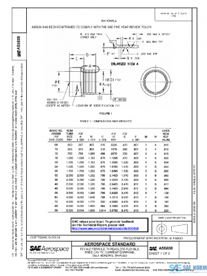 SAE AS5838 PDF