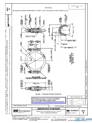 SAE AS1895/22B PDF