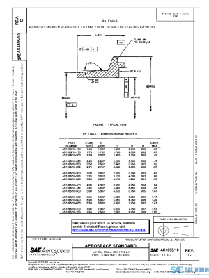 SAE AS1895/10C PDF