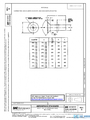 SAE AS125101B PDF