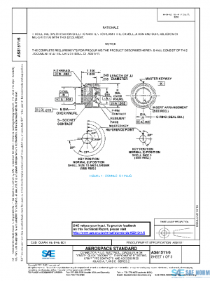 SAE AS81511/6 PDF