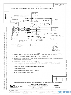 SAE AS3419 PDF