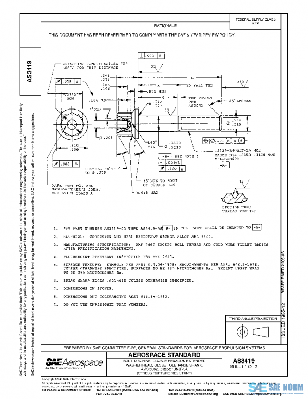 SAE AS3419 PDF