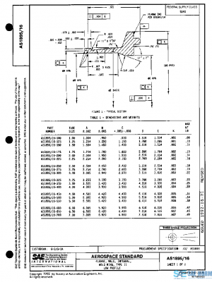 SAE AS1895/16 PDF