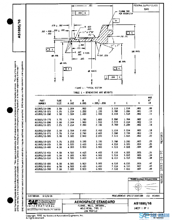 SAE AS1895/16 PDF