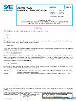 SAE AMS7490Q PDF