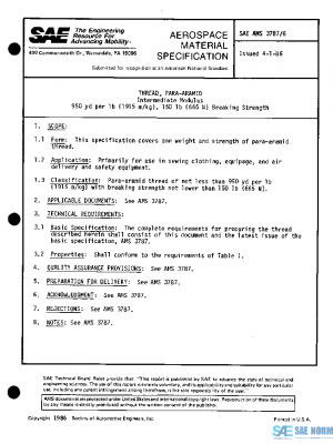 SAE AMS3787/6 PDF