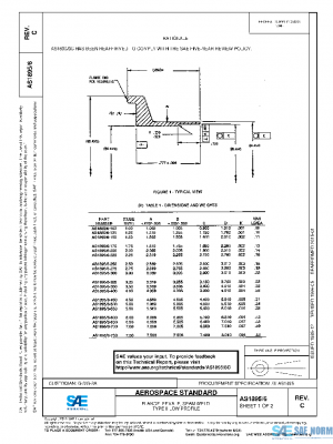 SAE AS1895/6C PDF