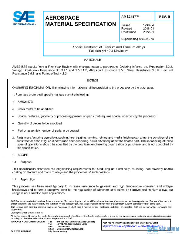 SAE AMS2487B PDF