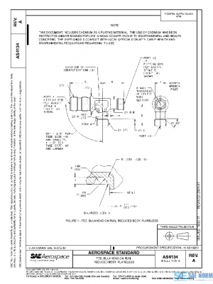 SAE AS4134A PDF