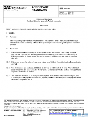 SAE AS5371 PDF