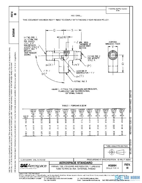 SAE AS894B PDF