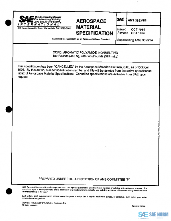 SAE AMS3853/1B PDF