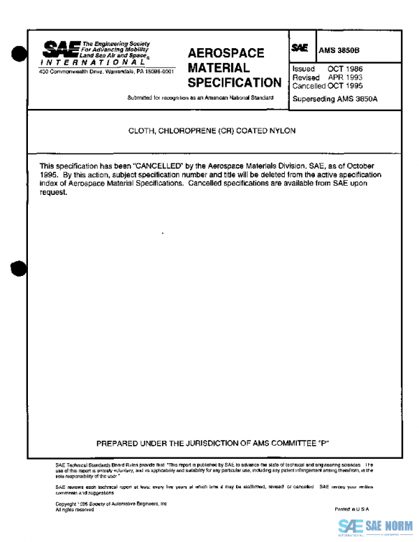 SAE AMS3850B PDF