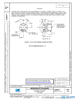 SAE AS4862B PDF