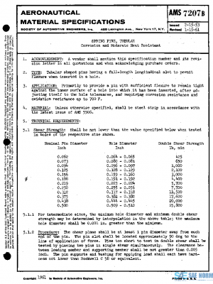 SAE AMS7207B PDF