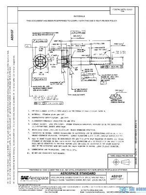SAE AS3157 PDF