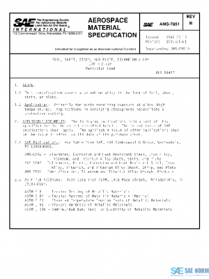 SAE AMS7851B PDF