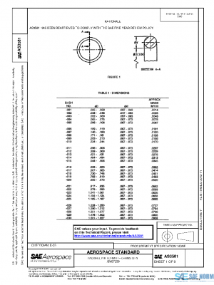 SAE AS3581 PDF
