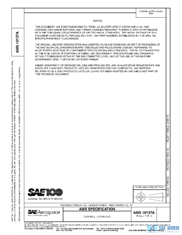SAE AMS10137A PDF