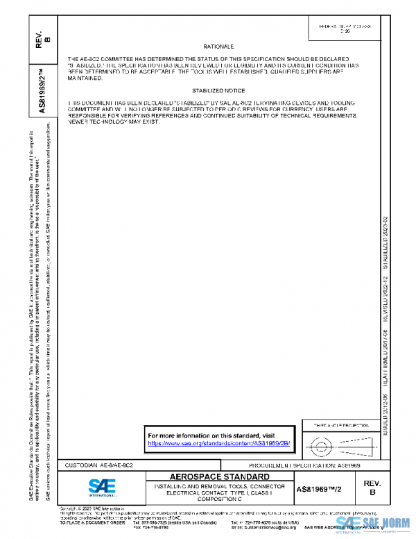 SAE AS81969/2B PDF