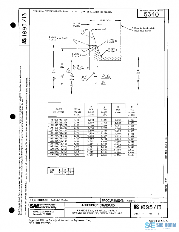 SAE AS1895/13A PDF