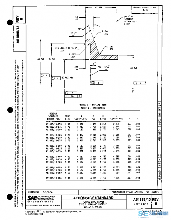 SAE AS1895/13B PDF