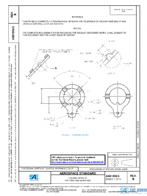 SAE AS81935/3B PDF