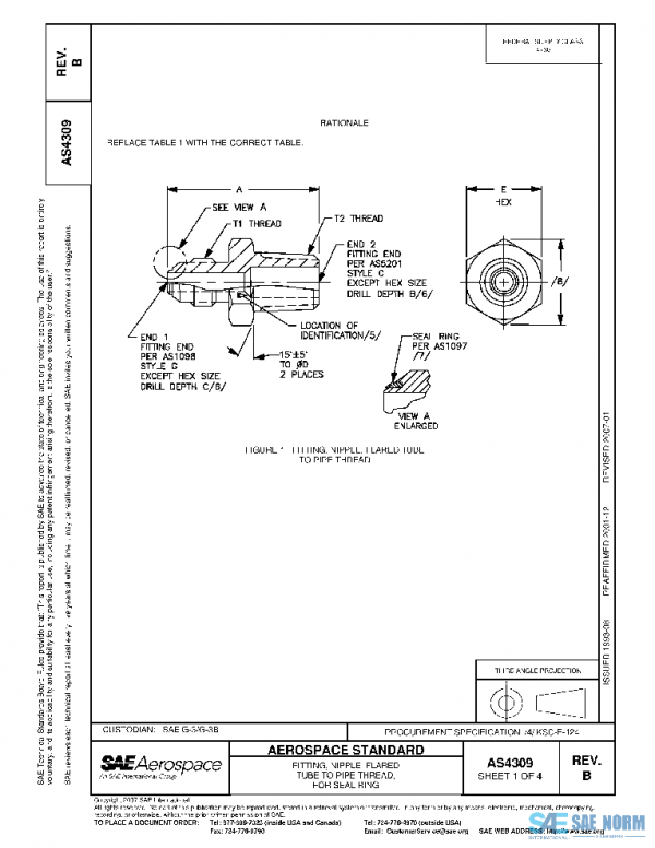 SAE AS4309B PDF