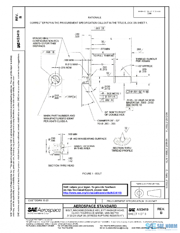 SAE AS3419B PDF