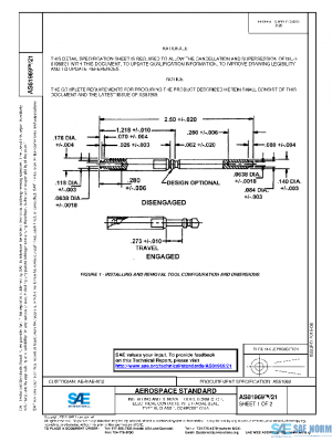SAE AS81969/21 PDF