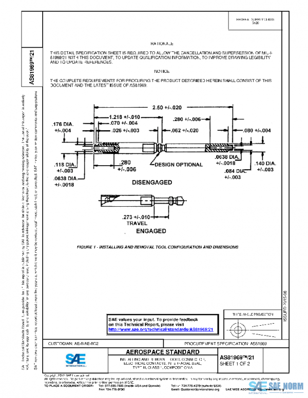 SAE AS81969/21 PDF