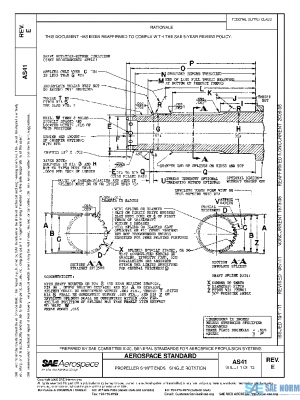SAE AS41E PDF
