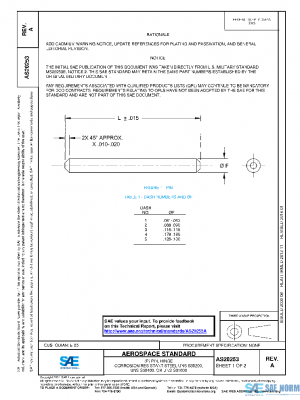SAE AS20253A PDF