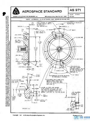 SAE AS971 PDF