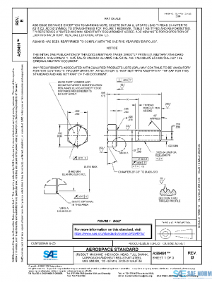 SAE AS9491B PDF