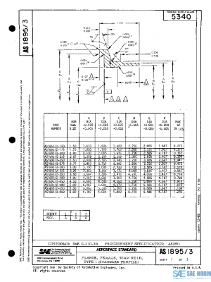 SAE AS1895/3A PDF