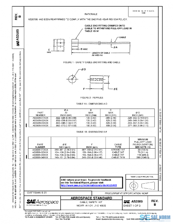 SAE AS3509B PDF