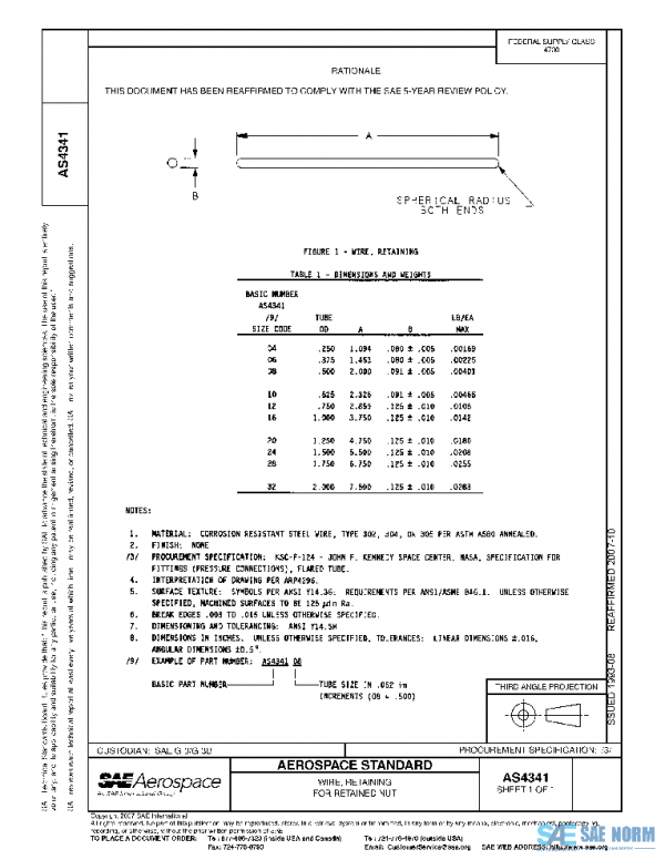 SAE AS4341 PDF
