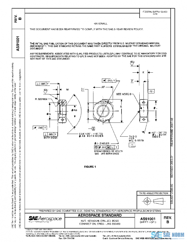 SAE AS91001B PDF