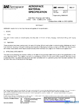 SAE AMS6424F PDF