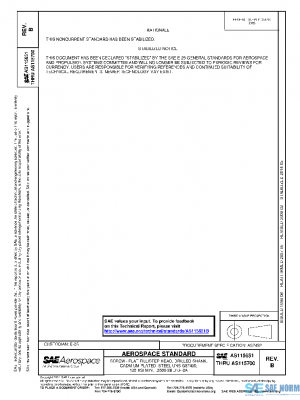 SAE AS115651B PDF