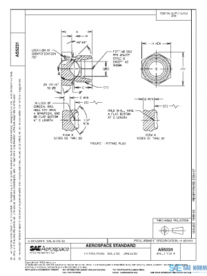 SAE AS5231 PDF
