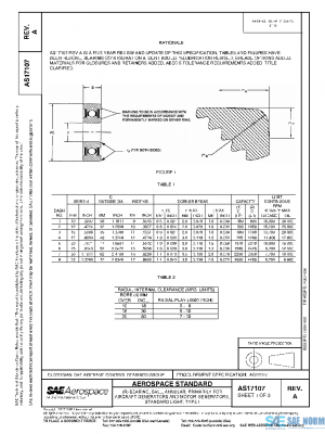 SAE AS17107A PDF