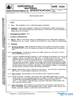 SAE AMS3091 PDF