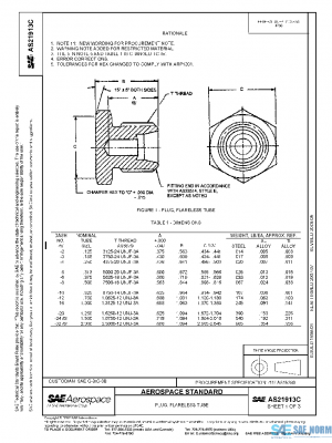 SAE AS21913C PDF