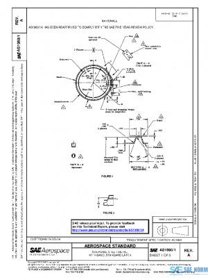 SAE AS1960/1A PDF